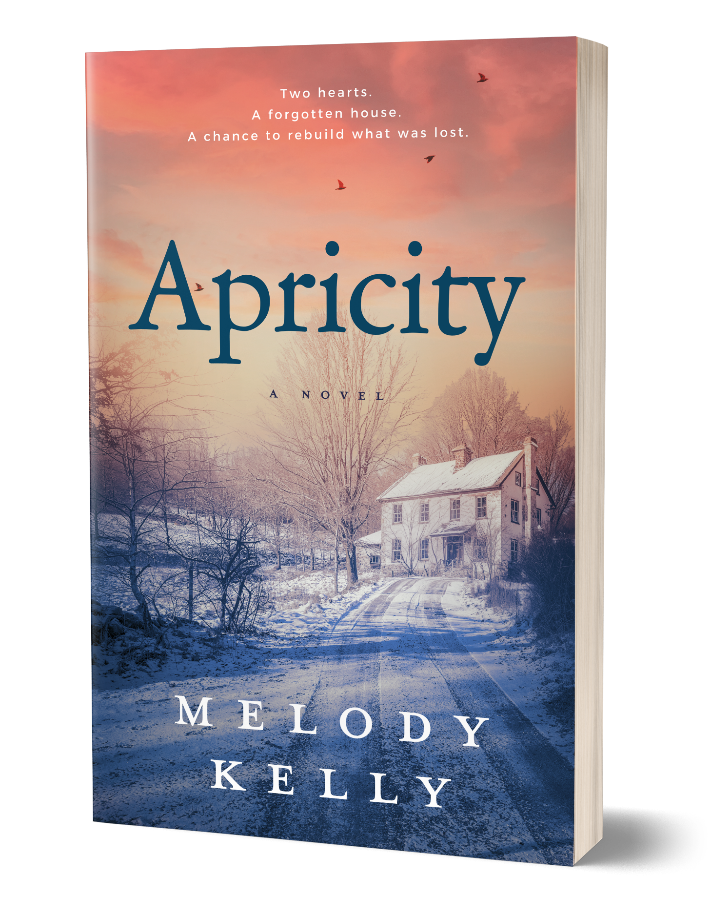 Apricity Book Cover